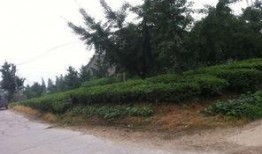 镇江景点爆料案件最新