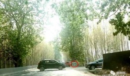 最新石家庄爆料,揭秘城市新动态与热点事件