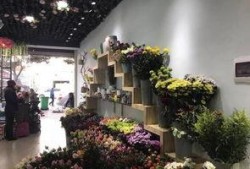 西昌最新爆料花店地址,揭秘最新花店地址，尽享浪漫花艺之旅