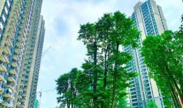 爆料佛山楼盘信息最新,揭秘热门项目最新资讯与价格走势
