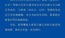 最新汕头爆料消息视频,视频揭露惊人内幕，真相令人震惊！