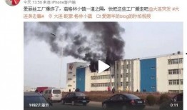 甘井子区最新爆料,揭秘区域发展新动向与亮点