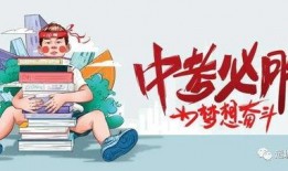 叶珊的最新消息爆料,揭秘娱乐圈惊人内幕