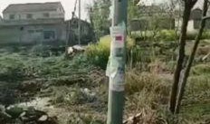 沛县最新爆料,揭秘这座古城的神秘面纱