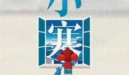小寒最新爆料新闻报道内容,最新爆料事件背后的真相