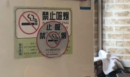 深圳男子爆料事件最新进展,最新进展揭示惊人内幕