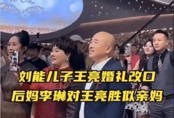 王亮最新爆料视频,事件背后惊人真相