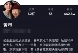 爆料黄琴的视频最新,揭秘娱乐圈惊人内幕