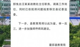 安徽刘渡爆料最新消息今天,最新爆料揭示惊人真相！”