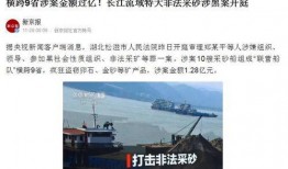 诏安媒体爆料案件最新,最新案件进展揭秘，疑云重重引关注